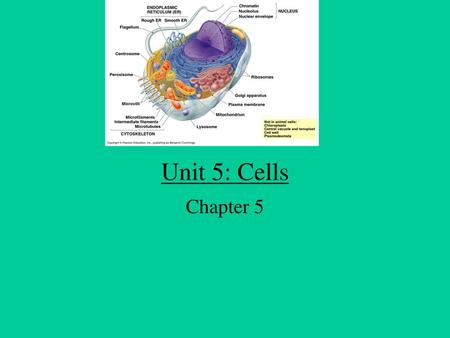 Unit 5: Cells Chapter 5.