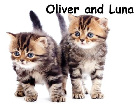 Oliver and Luna.