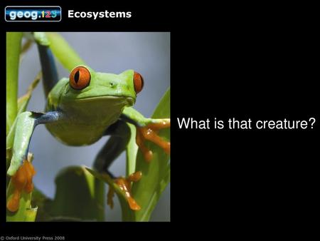 Ecosystems What is that creature? Photo acknowledgement: Shutterstock.