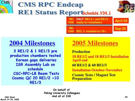 CMS RPC Endcap RE1 Status Report