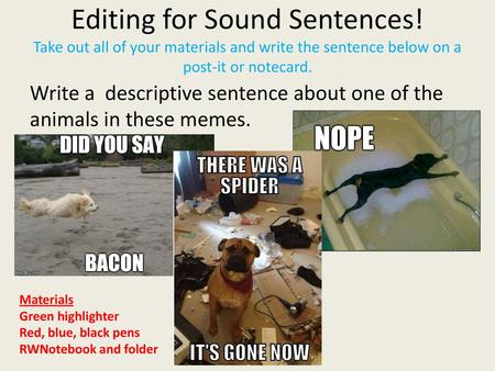 Editing for Sound Sentences