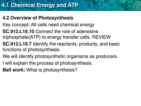 4.2 Overview of Photosynthesis Key concept: All cells need chemical energy SC.912.L18.10 Connect the role of adenosine triphosphate(ATP) to energy transfer.