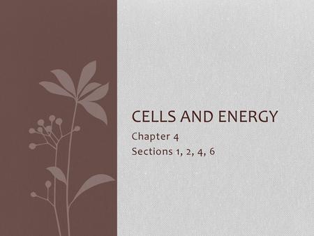 Cells and energy Chapter 4 Sections 1, 2, 4, 6.