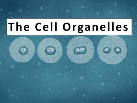 The Cell Organelles.