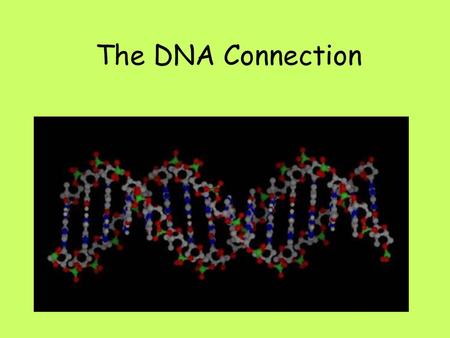 The DNA Connection.