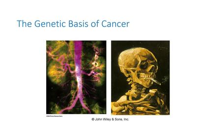 The Genetic Basis of Cancer