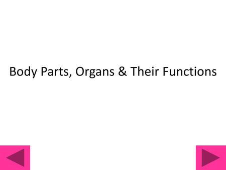 Body Parts, Organs & Their Functions