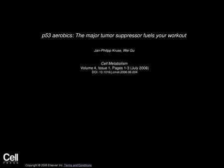 p53 aerobics: The major tumor suppressor fuels your workout