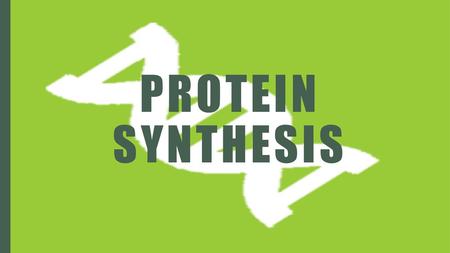 Protein Synthesis.