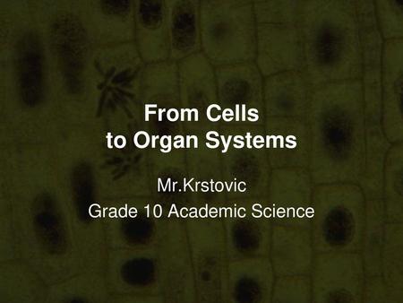 From Cells to Organ Systems