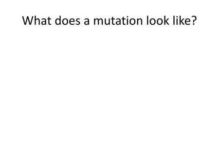 What does a mutation look like?