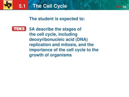 The student is expected to: 5A describe the stages of the cell cycle, including deoxyribonucleic acid (DNA) replication and mitosis, and the importance.