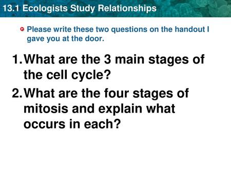 What are the 3 main stages of the cell cycle?