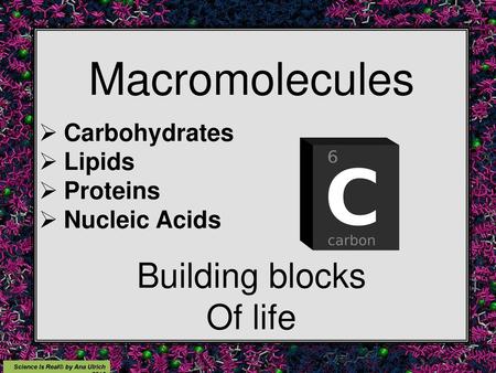 Macromolecules Building blocks Of life Carbohydrates Lipids Proteins
