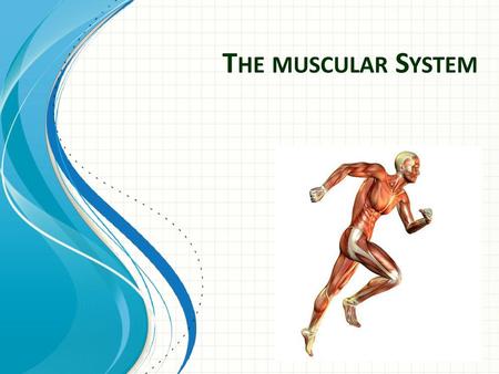 The muscular System This template can be used as a starter file for presenting training materials in a group setting. Sections Sections can help to organize.