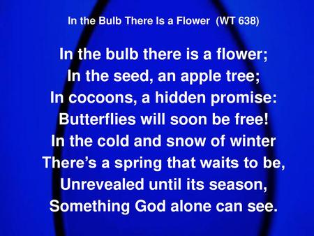 In the bulb there is a flower; In the seed, an apple tree;