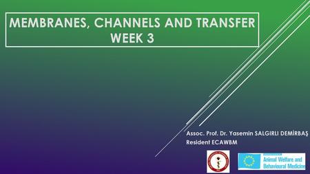 Membranes, CHANNELS AND TRANSFER WEEK 3