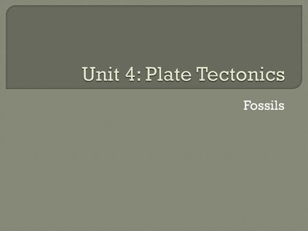 Unit 4: Plate Tectonics Fossils.