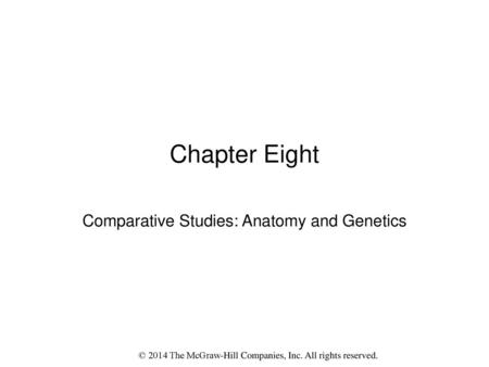 Comparative Studies: Anatomy and Genetics