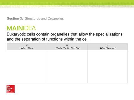 Section 3: Structures and Organelles