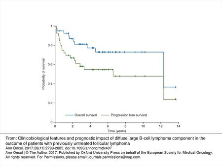 Figure 1. Progression-free survival and overall survival for FL/DLBCL patients. From: Clinicobiological features and prognostic impact of diffuse large.