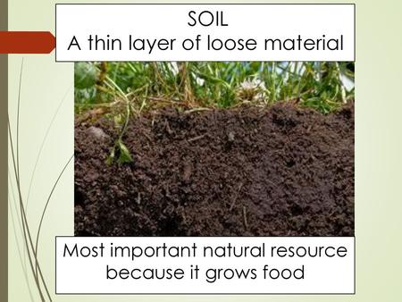 SOIL A thin layer of loose material