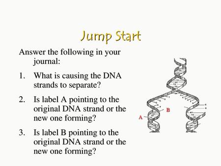 Jump Start Answer the following in your journal: