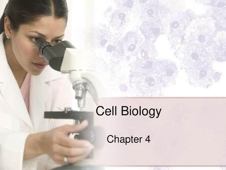 Cell Biology Chapter 4.