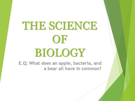 E.Q: What does an apple, bacteria, and a bear all have in common?