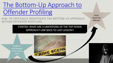 The Bottom-Up Approach to Offender Profiling