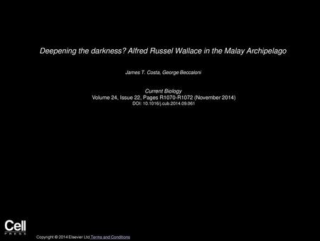 Deepening the darkness? Alfred Russel Wallace in the Malay Archipelago