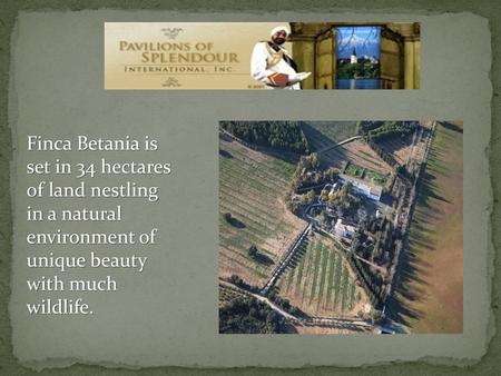 Finca Betania is set in 34 hectares of land nestling in a natural environment of unique beauty with much wildlife.