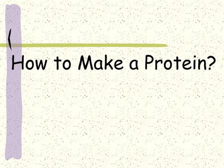 How to Make a Protein?.