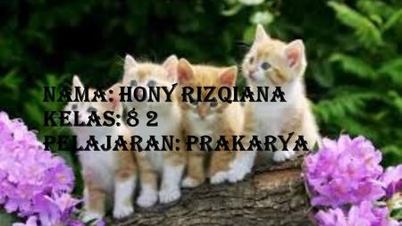 Nama: Hony rizqiana kelas: 8 2 pelajaran: prakarya.
