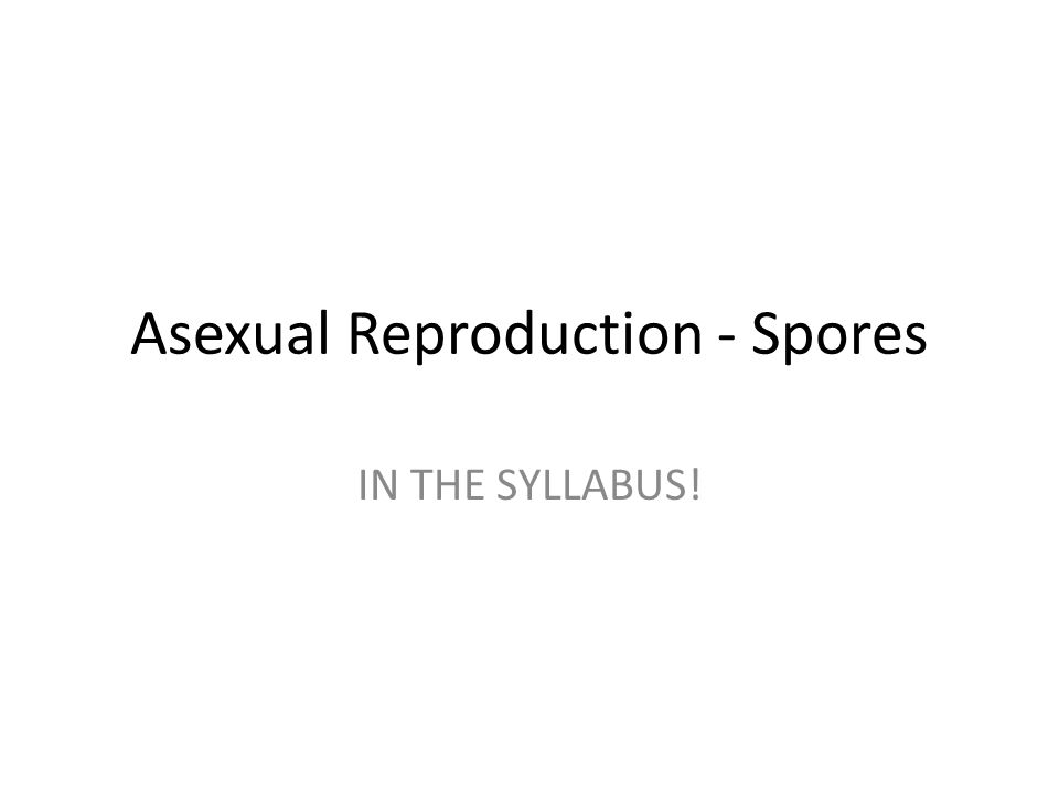 Asexual Reproduction Spores In The Syllabus How Different Plants Reproduce Non Flowering Plants Ferns Mosses Liverworts Algae Seaweeds Ppt Download