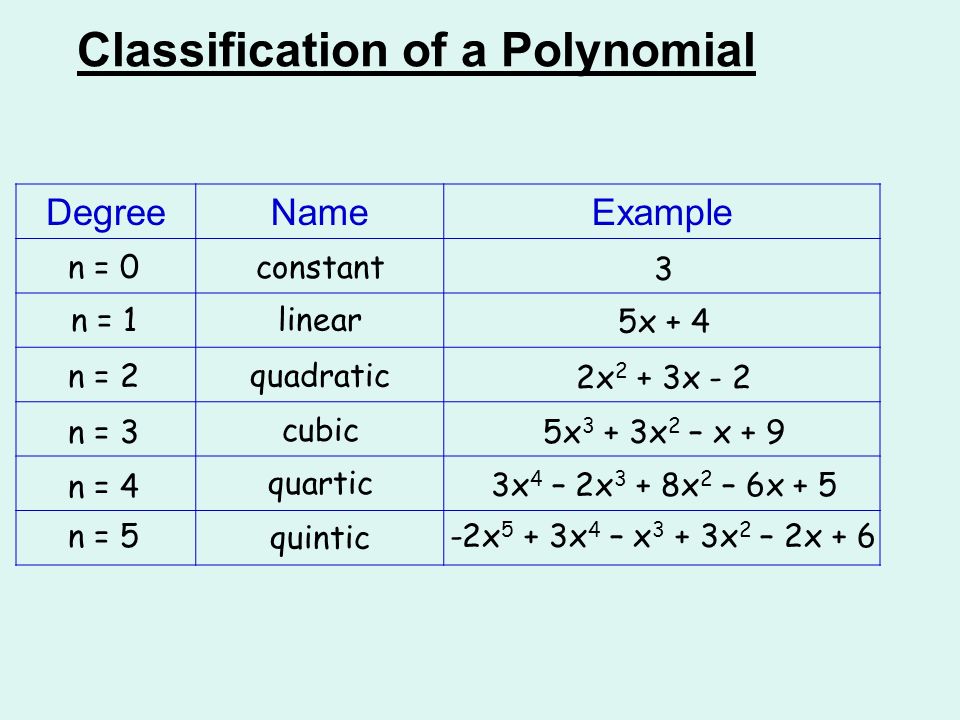 picture Classification Of Polynomials Worksheet 5 3x 4 x 3 3x 2 2x 6