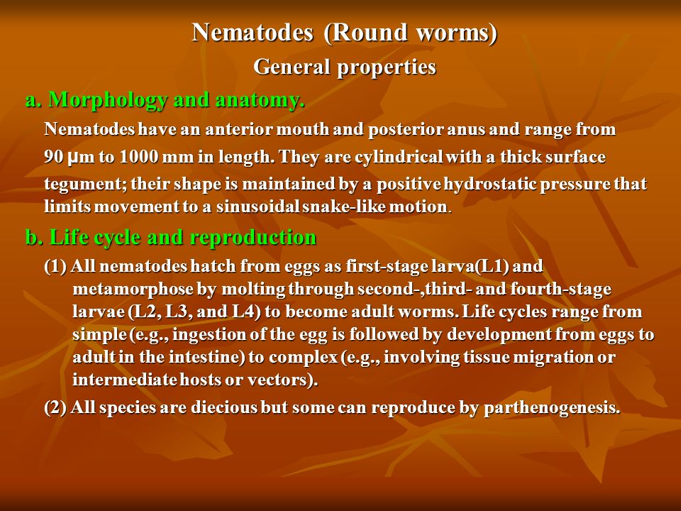 Roundworm este un medicament eficient - Familial cancer explained