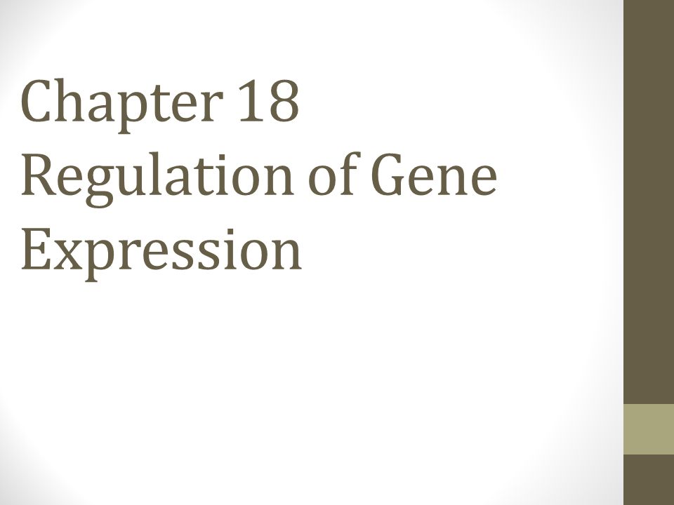Chapter 18 Regulation of Gene Expression - ppt video online download