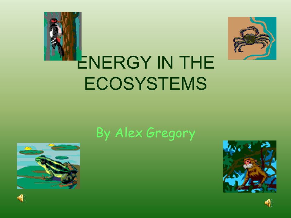ENERGY IN THE ECOSYSTEMS By Alex Gregory Oxygen and CO 2 Animals and people breathe in oxygen and exhale, or let out, carbon dioxide. Plants take in. - ppt download ENERGY IN THE ECOSYSTEMS By Alex Gregory Oxygen and CO 2 Animals and people breathe in oxygen and exhale, or let out, carbon dioxide. Plants take in. - ppt download