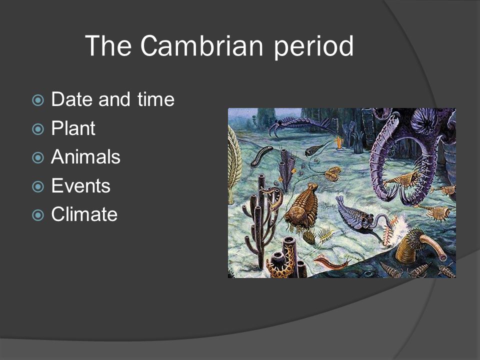 The Cambrian period Date and time Plant Animals Events Climate. - ppt  download