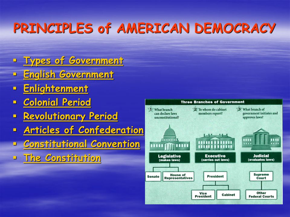 Types Of Democracy Government Branches