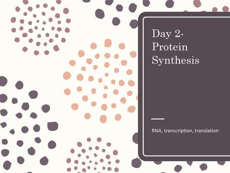 Day 2- Protein Synthesis