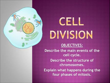 CELL DIVISION OBJECTIVES: Describe the main events of the cell cycle.
