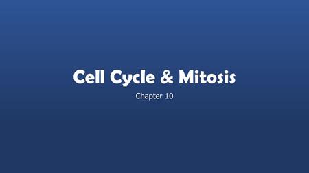 Cell Cycle & Mitosis Chapter 10.