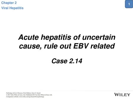 Acute hepatitis of uncertain cause, rule out EBV related