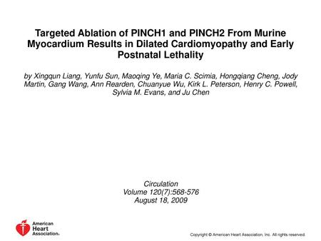 Targeted Ablation of PINCH1 and PINCH2 From Murine Myocardium Results in Dilated Cardiomyopathy and Early Postnatal Lethality by Xingqun Liang, Yunfu Sun,