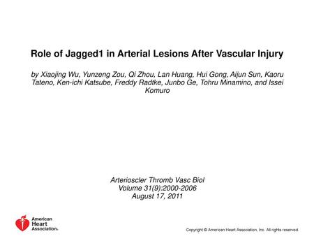 Role of Jagged1 in Arterial Lesions After Vascular Injury