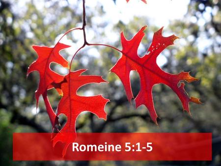 Romeine 5:1-5 PowerPoint agtergrond