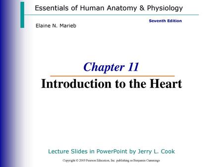 Chapter 11 Introduction to the Heart