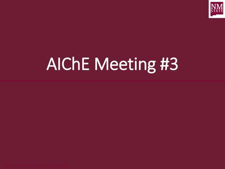 AIChE Meeting #3.